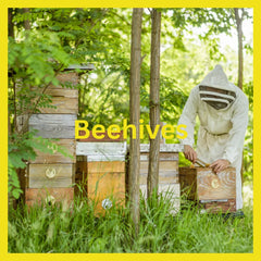 Beehives