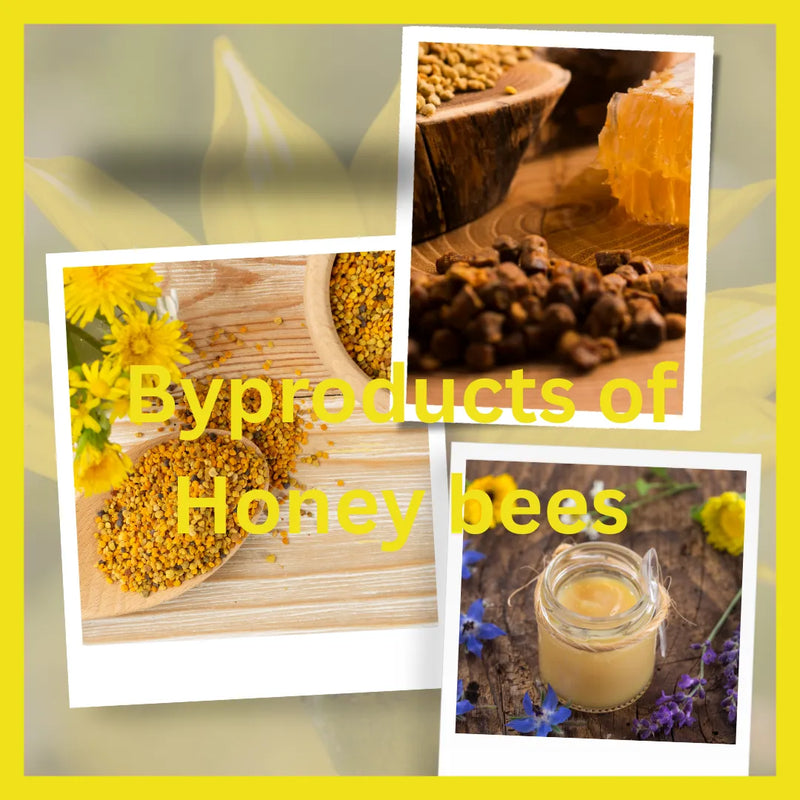 By Products of HoneyBees