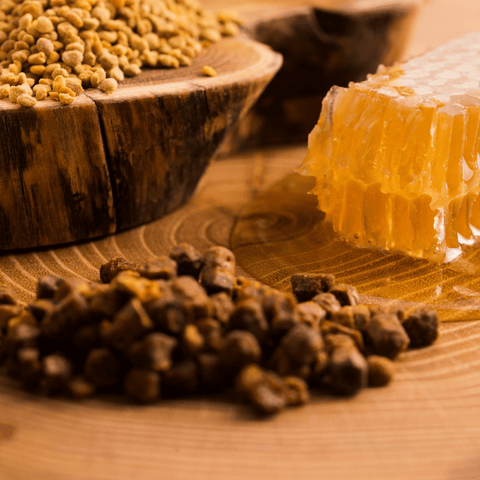 Bee Bread
