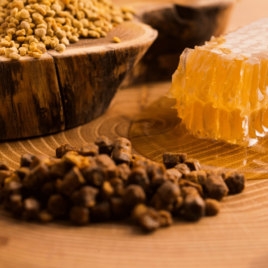 Bee Bread